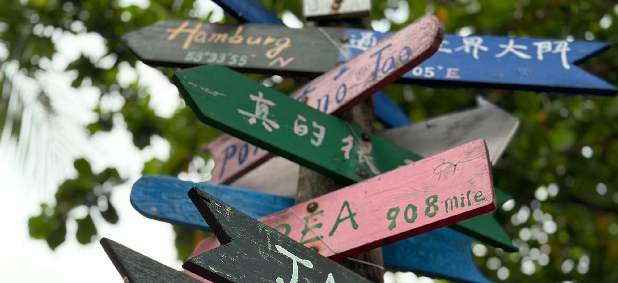 a sign post with many different colored signs on it