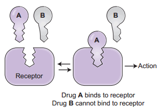 Receptor Highlight - Kinase Linked Receptors